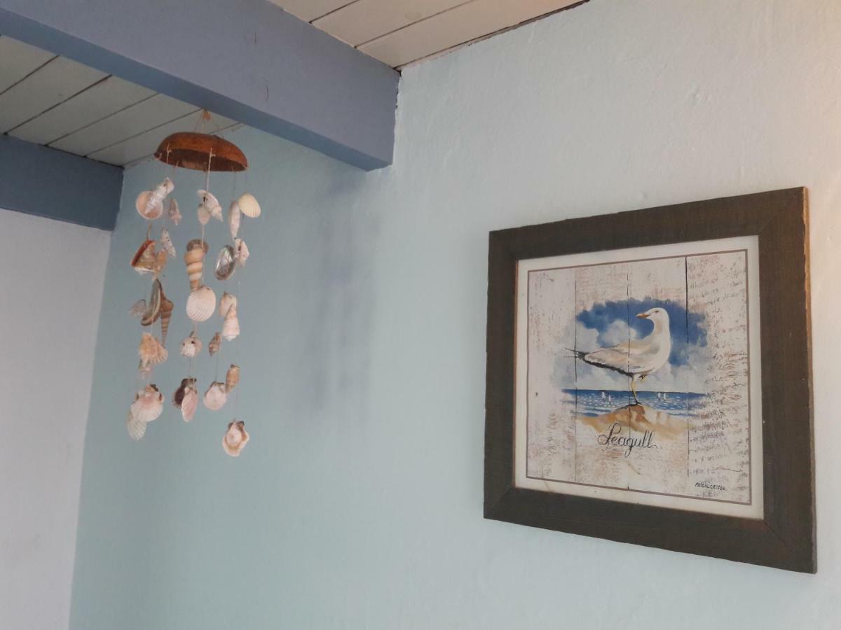 B&B Little Beach House Zandvoort Ngoại thất bức ảnh